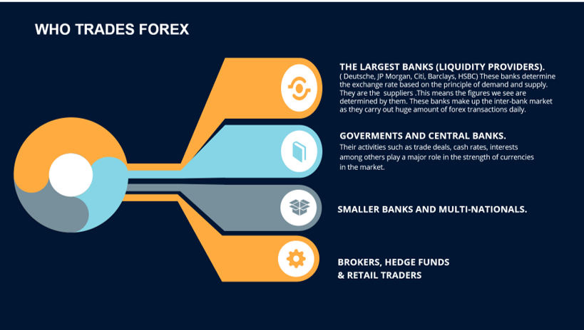 Forex Basics: What is Forex?